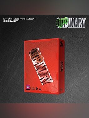 Stray Kids “Oddinary” Kpop Album | Mask Off Version